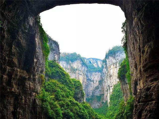 解救可爱的鸭子